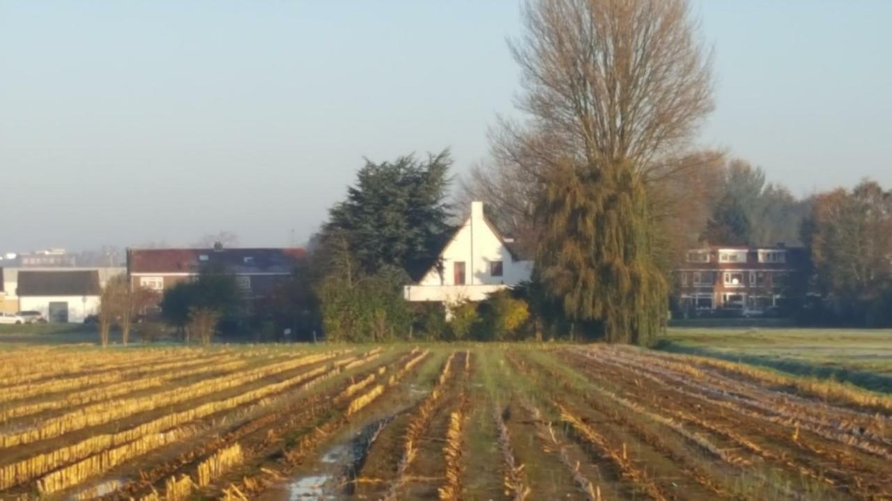 De Gaanderij Bed and Breakfast Barendrecht Εξωτερικό φωτογραφία